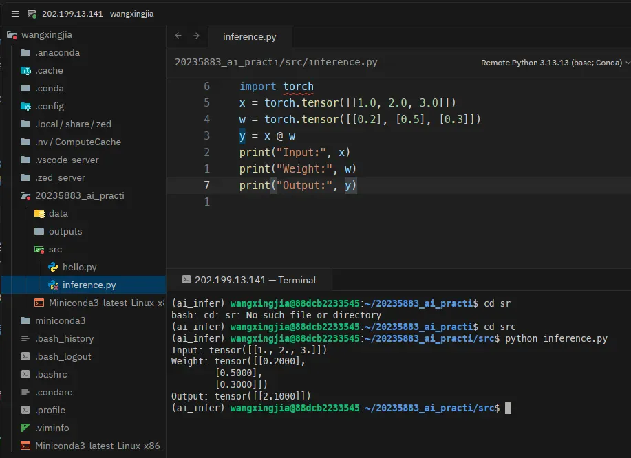 infer1 运行 inference.py